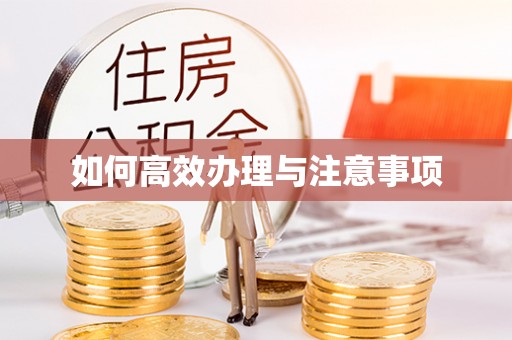高坪如何高效办理与注意事项