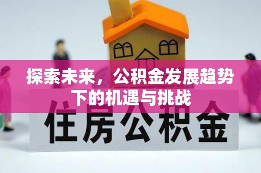 高坪探索未来，公积金发展趋势下的机遇与挑战
