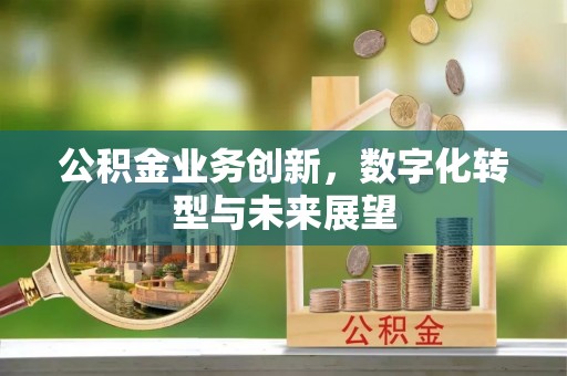 高坪公积金业务创新，数字化转型与未来展望
