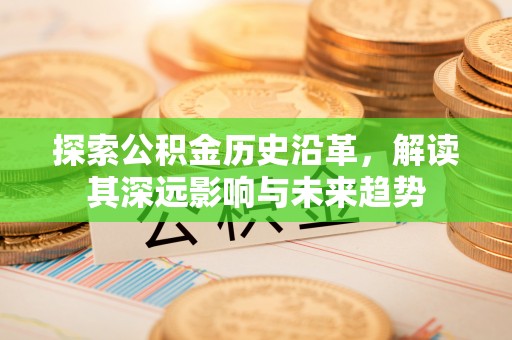高坪探索公积金历史沿革，解读其深远影响与未来趋势