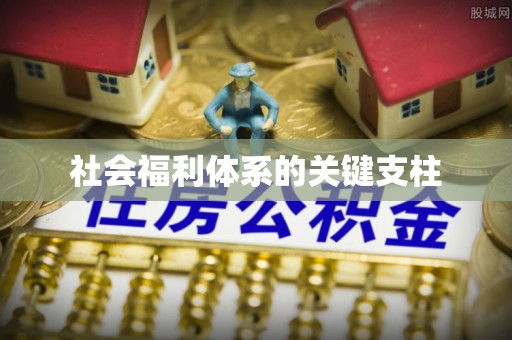 高坪社会福利体系的关键支柱