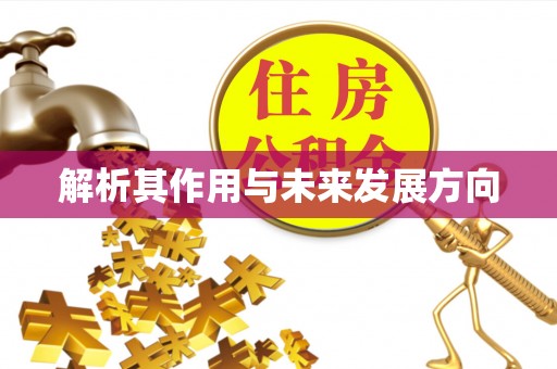 高坪解析其作用与未来发展方向
