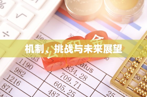 高坪机制、挑战与未来展望